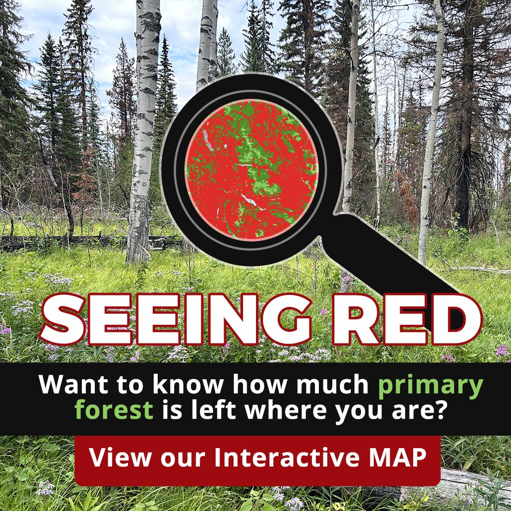 Seeing Red how much primary forest is left.