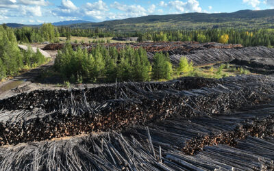 Drax’s Announcement Won’t Change What’s Happening