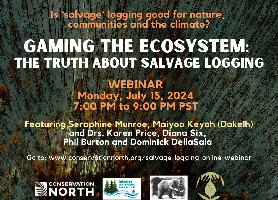 Salvage logging webinar – register today