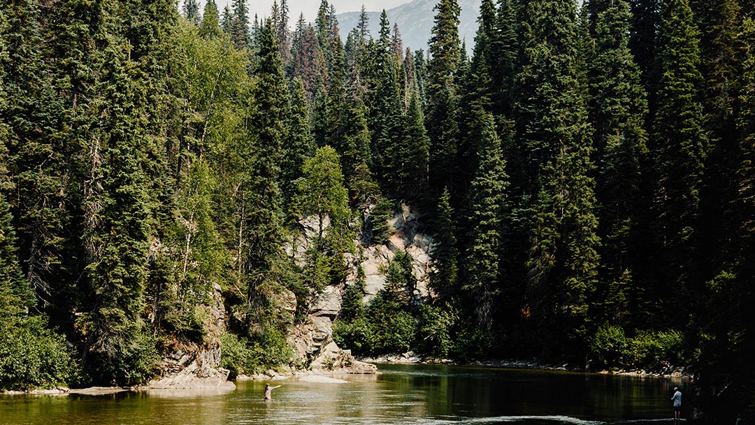 New Mapped Old Growth No-Harvest Areas