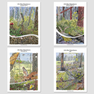 Life After Disturbance Posters