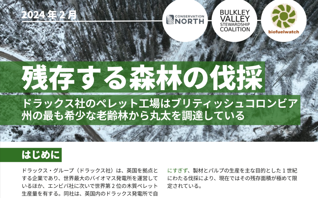 残存する森林の伐採：ドラックス社のペレット工場はブリティッシュコロンビア 州の最も希少な老齢林から丸太を調達している