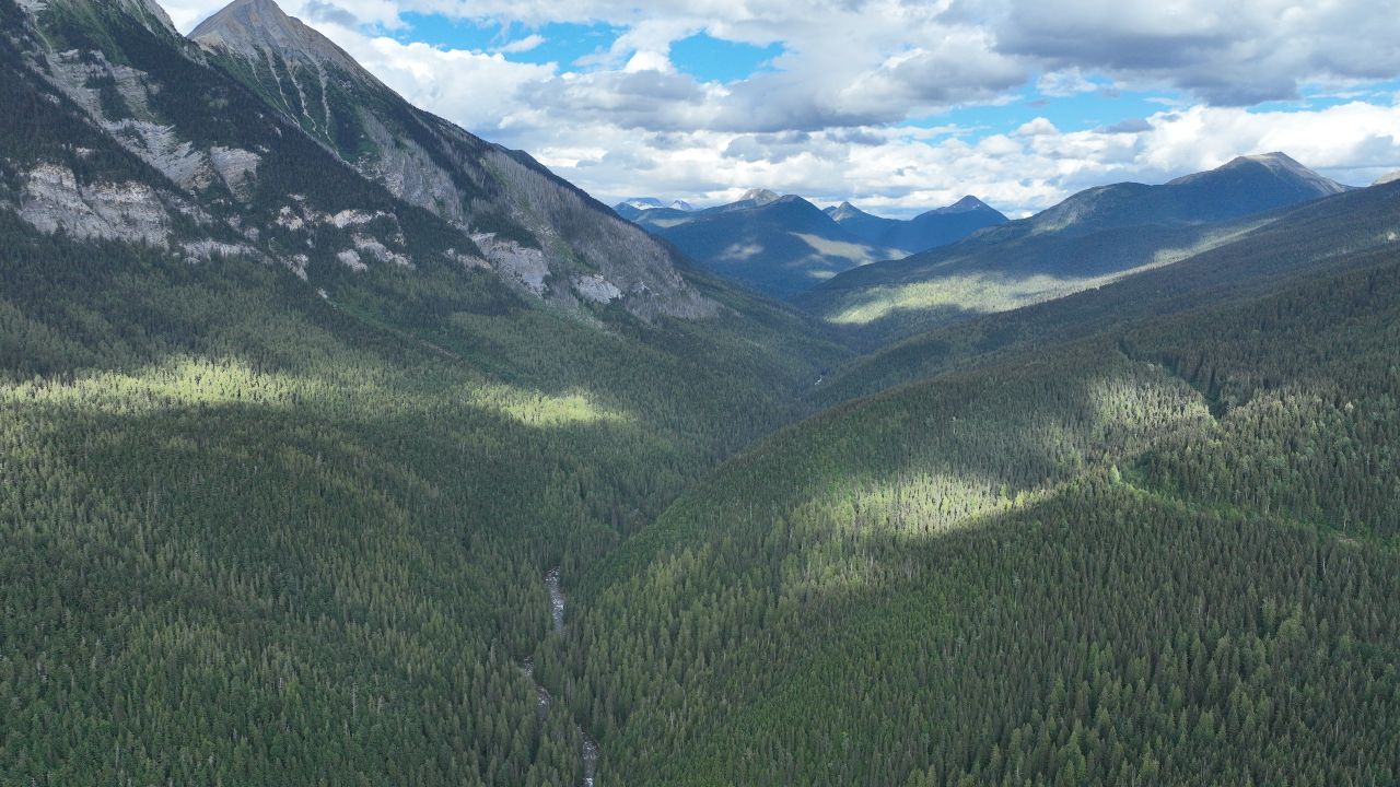 Beautiful photo of untouched forested valley.