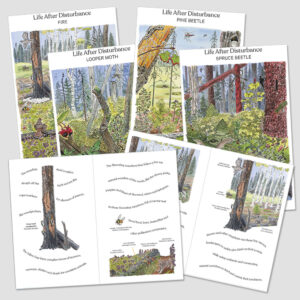 Life After Disturbance Booklets