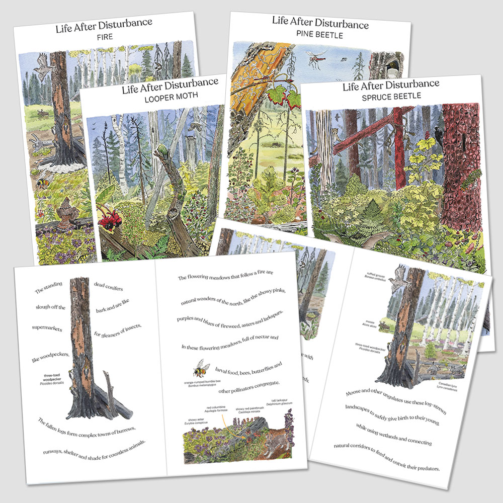 Life After Disturbance Booklets