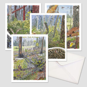 Life After Disturbance Greeting Cards