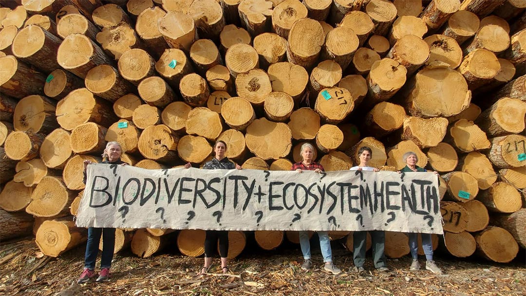 Command and Control Forestry