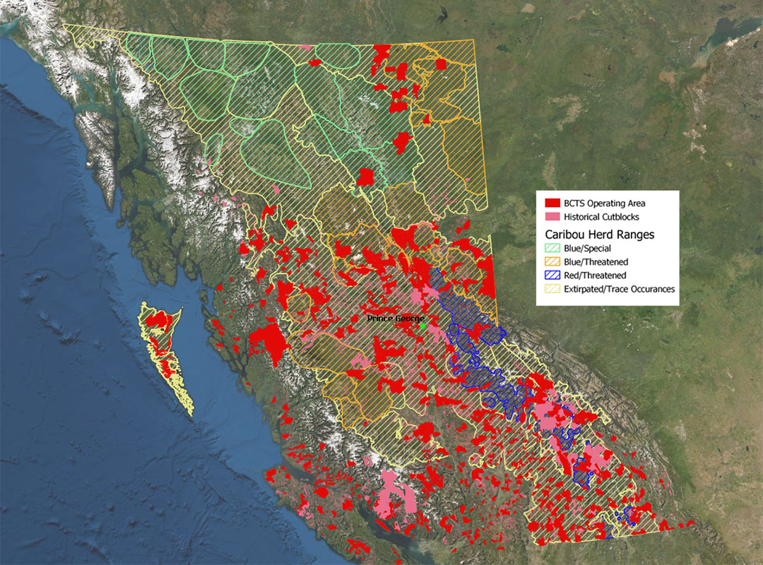 BCTS and Caribou herds