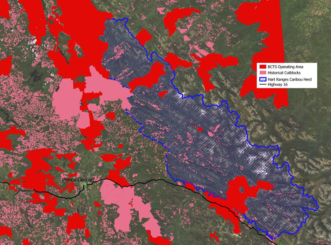 Close up of logging BCTS