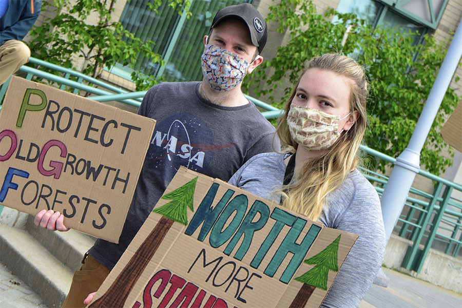 Temporary Old Growth Protection for the Rainforest