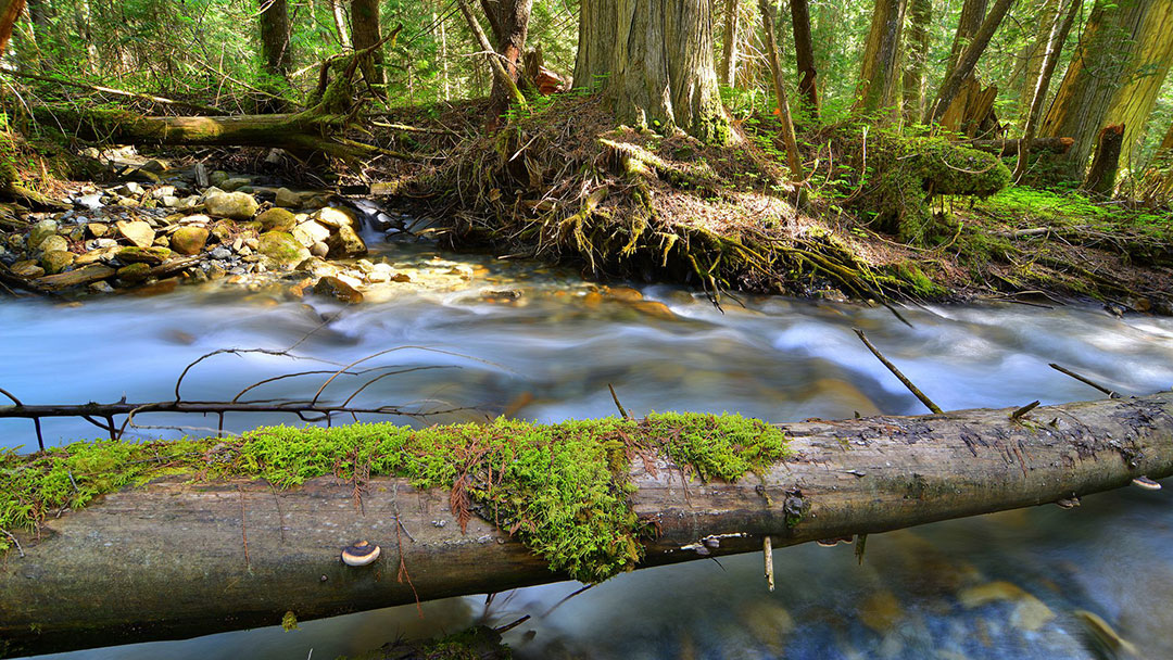 Interior Watershed Task Force Presentation