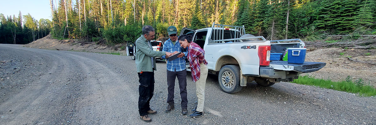 Exposing the Pellet Industry in BC