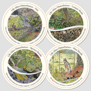 Life After Disturbance Stickers