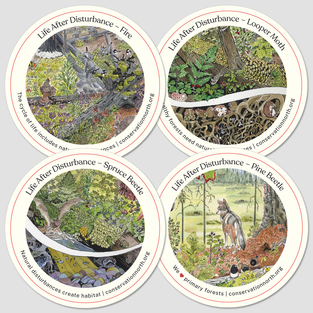 Life After Disturbance Stickers